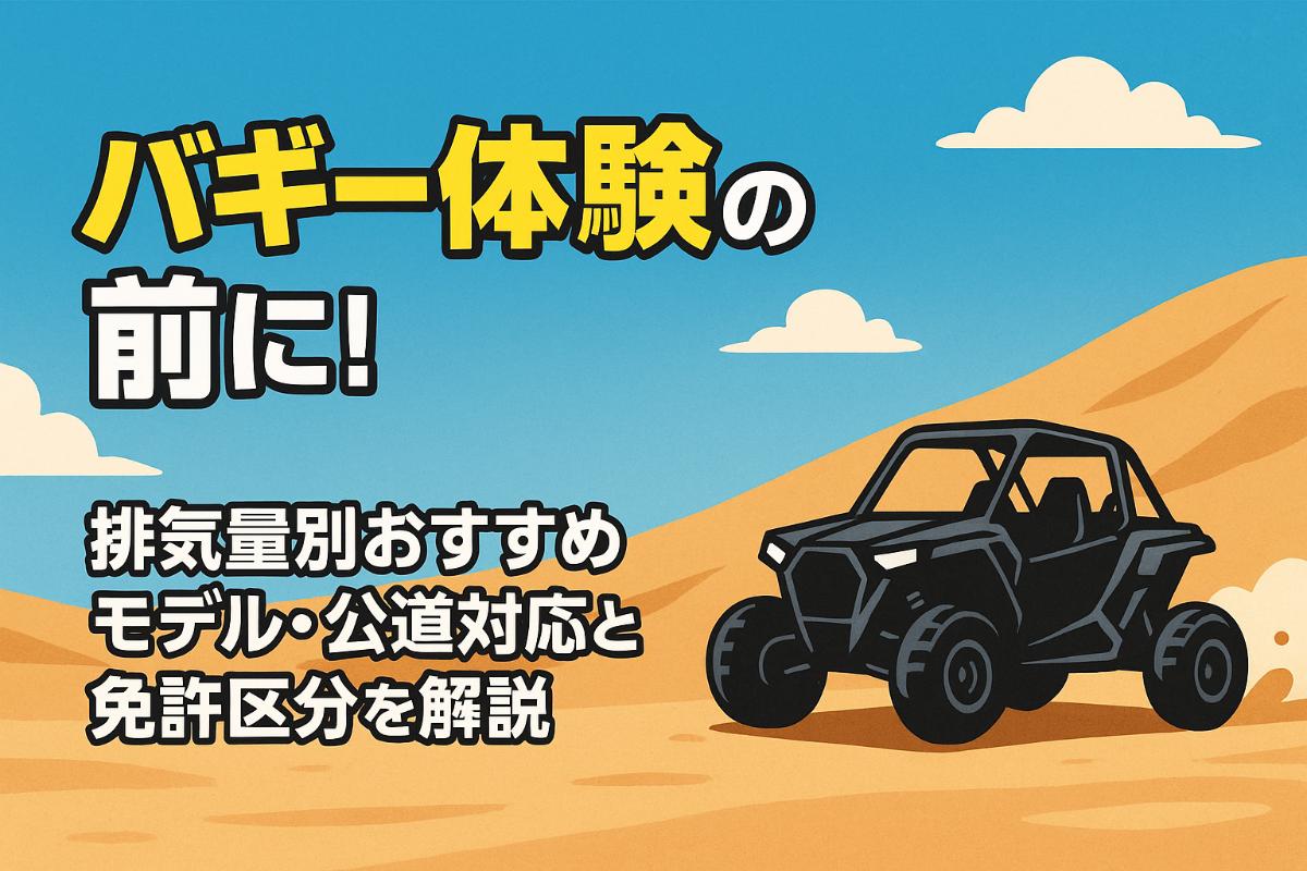公道 バギーとは 公道も走行できるADLYバギーとは