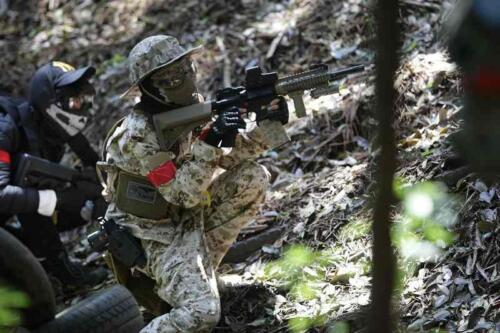 CIMAX (7)