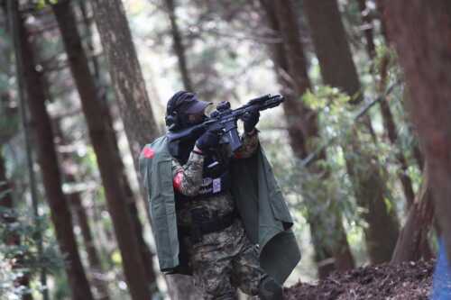 GEN33369